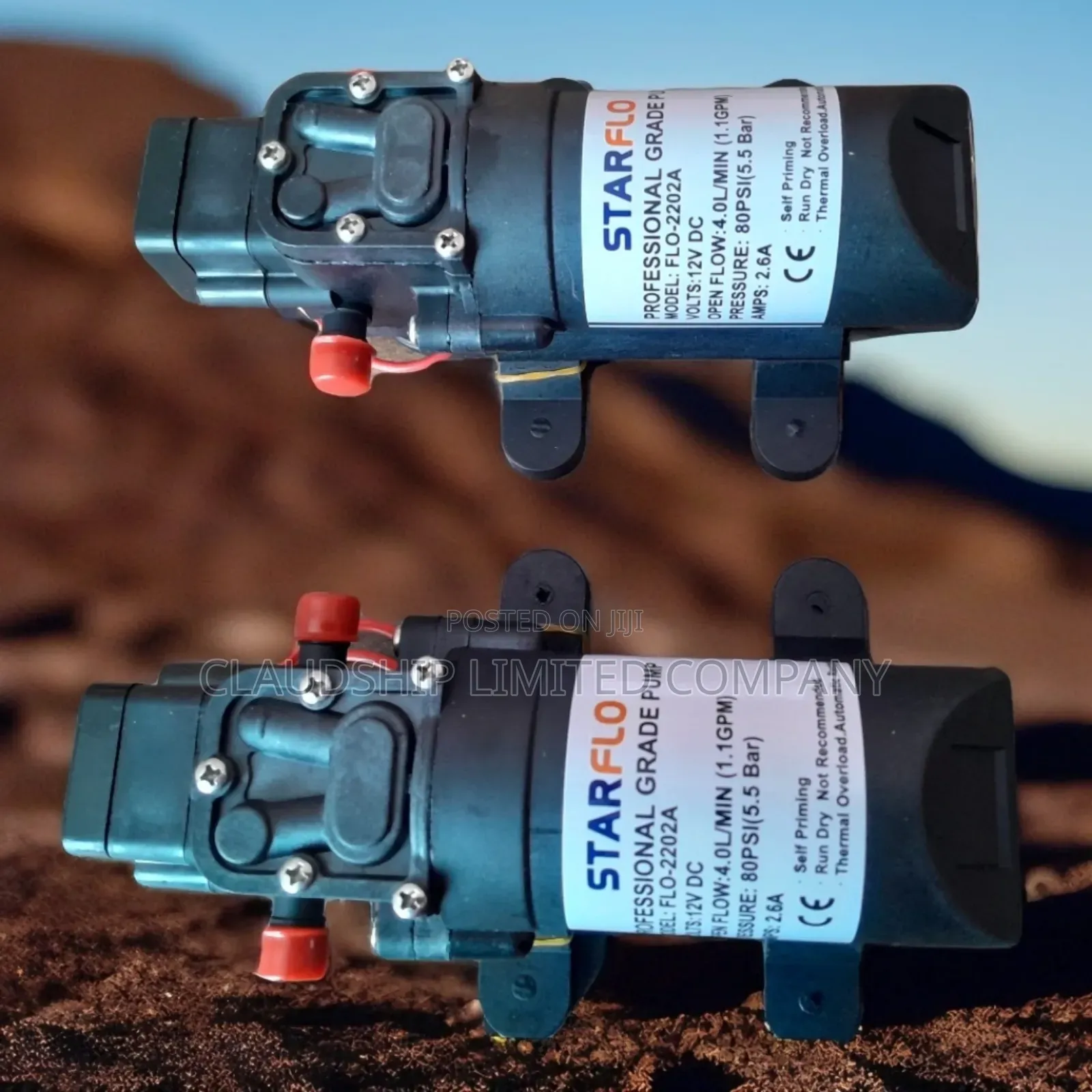 Rv Water Diapghram Pumps 12/24v