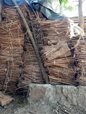 Makuti Supply Diani