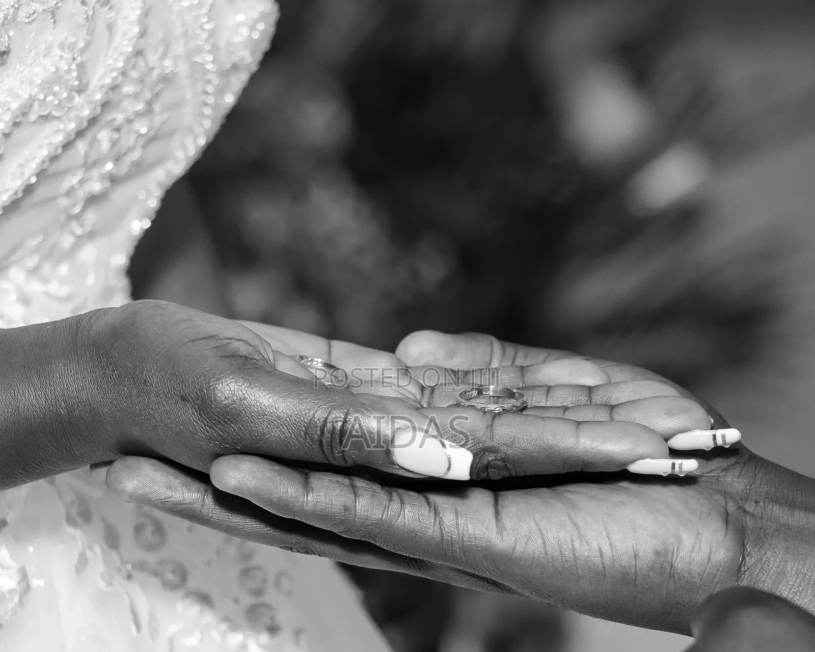 Professional Wedding Photography and Videography
