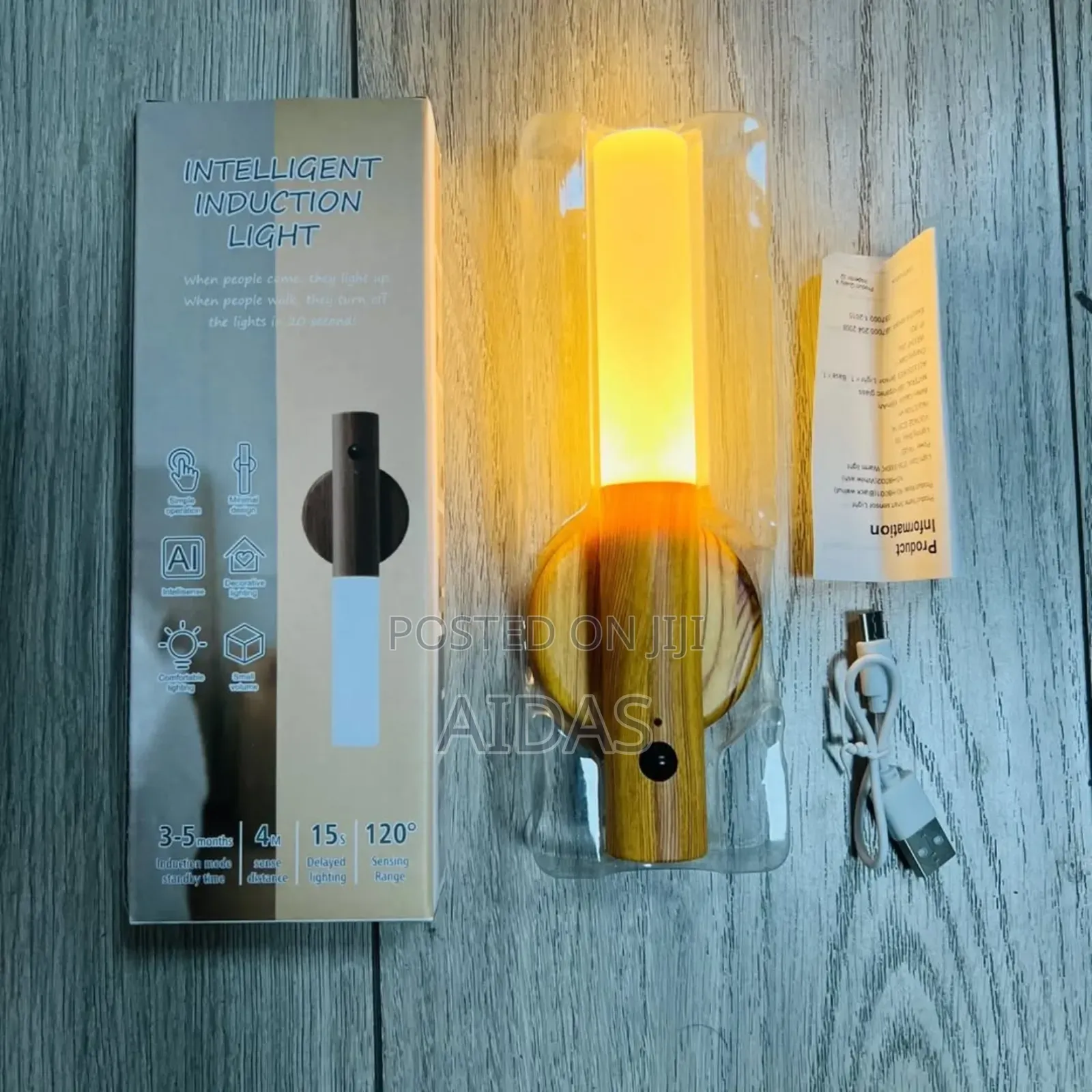 Intelligence Induction Light for Wall Decor