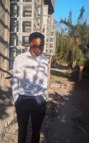 Experienced Cleaner