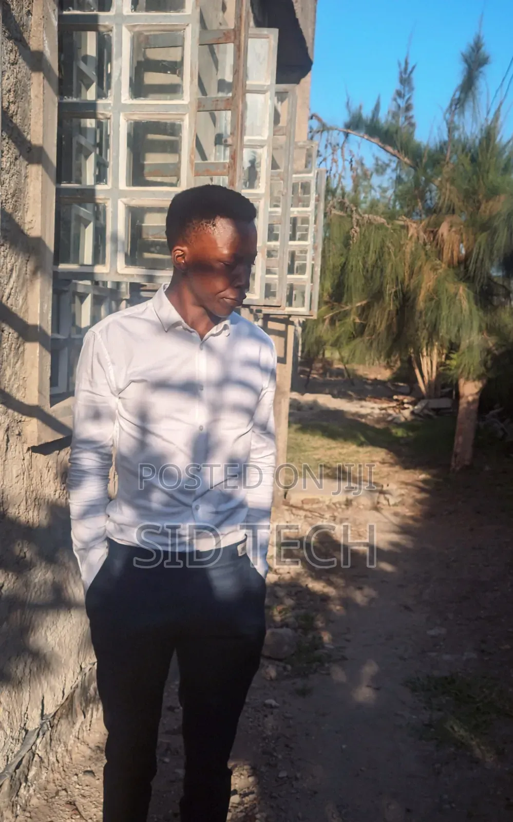 Experienced Cleaner