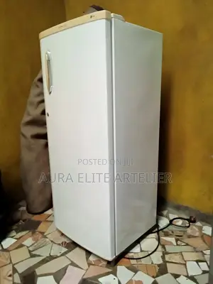 Exuk LG 246ltr Big Fridge