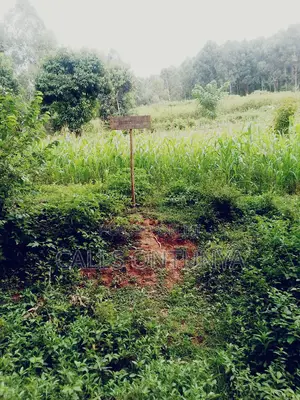 Kakrao 60 by 150 Plot Next to Magina Sda