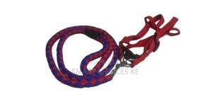 Dog Leash / Harness With Collar - main view