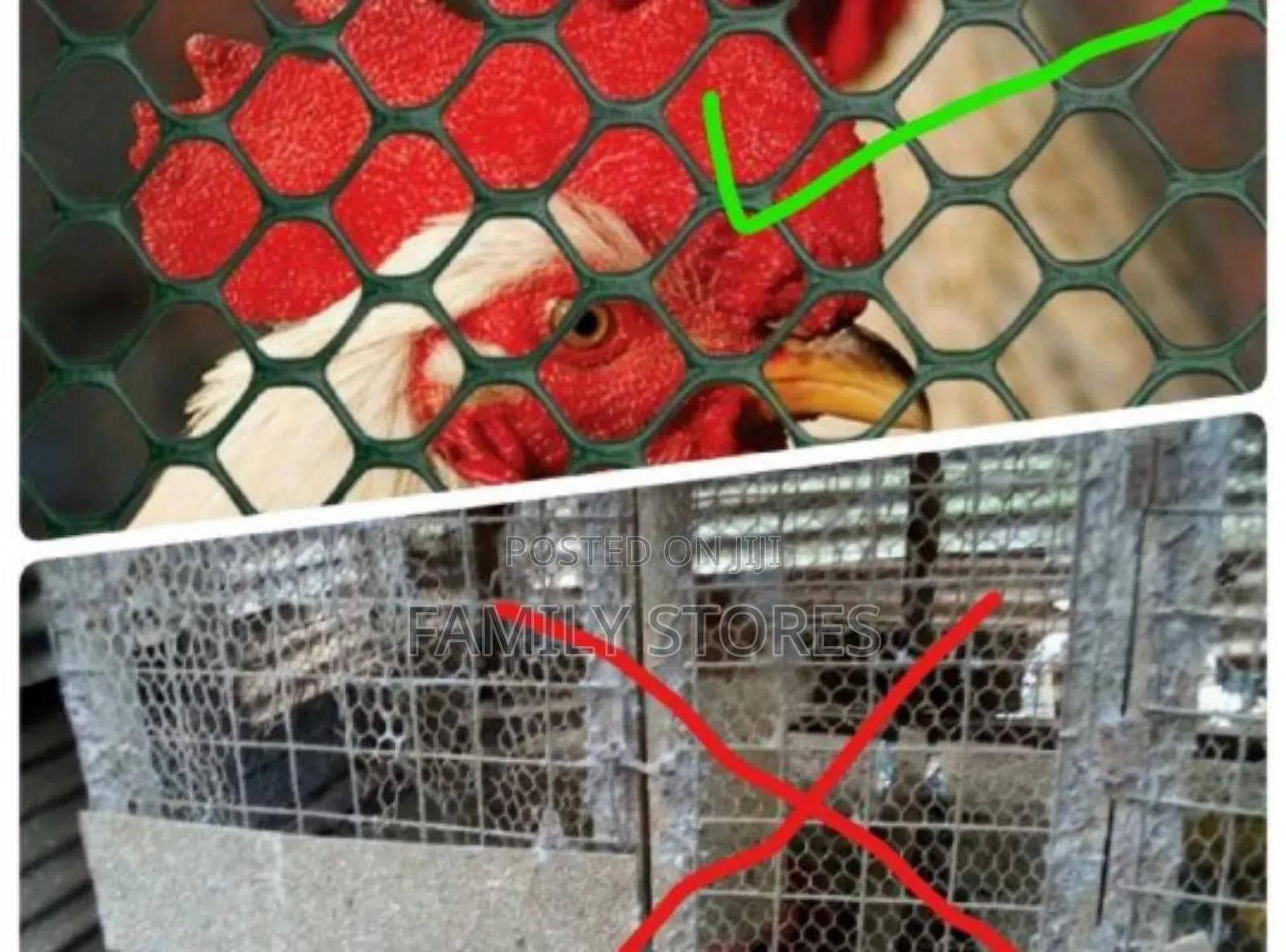 Plastic Poultry Wire Mesh