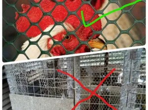 Plastic Poultry Wire Mesh