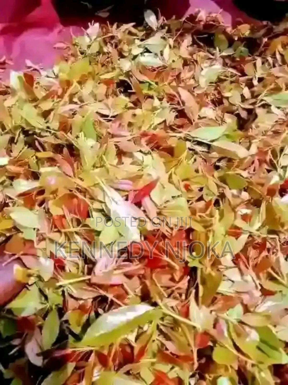 Muguka ,Miraa