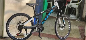 Teens Sports Bike Size 24