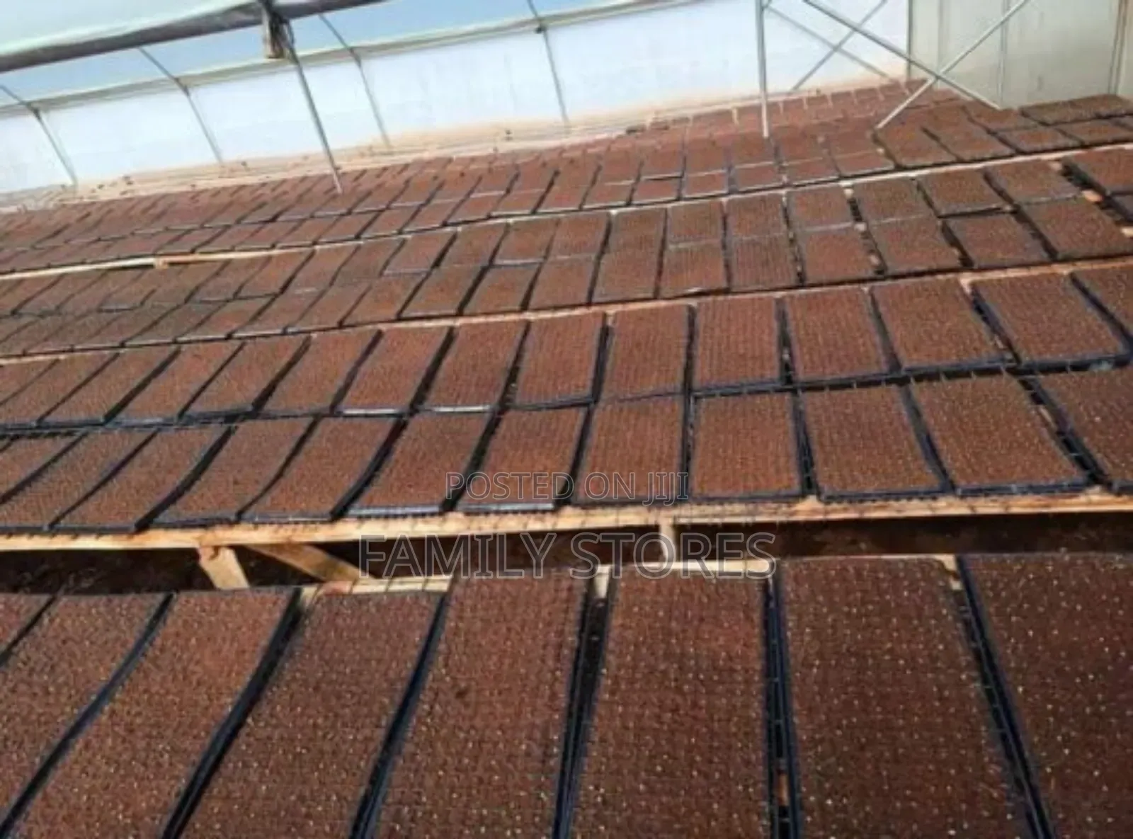 Seedling Trays