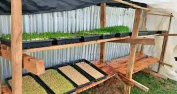 Hydrolic Fodder Plastic Tray