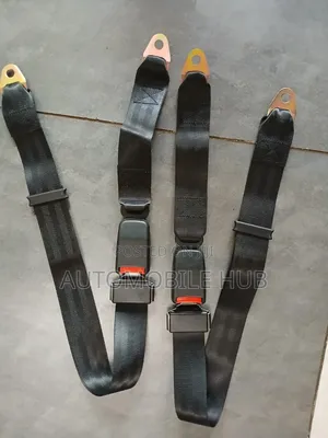 2 Way Car Seat Safety Belts