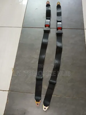 Car Back Seat Safety Belts-2 Way Safety Belts