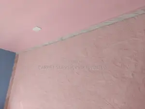 Pink Carpet(Fluffy)
