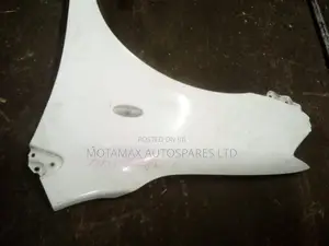 Toyota Axio 141 Wing