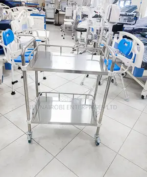 2-Shelf Stainless Steel Rolling Cart