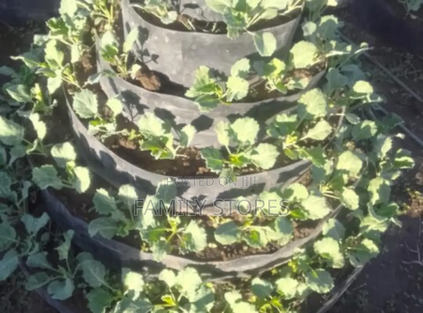 Vertical/Multistorey Garden
