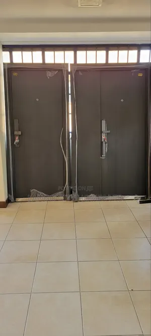 Grey Steel Doors - Imported