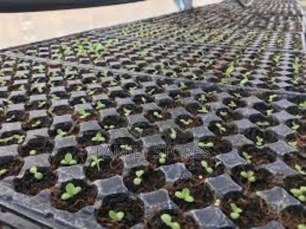 Seedling/Propagation Trays