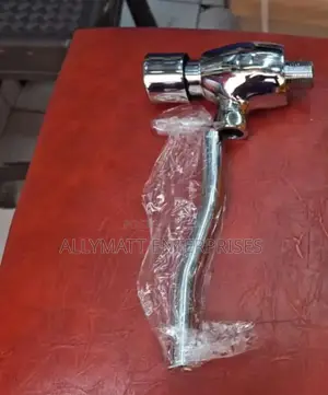 Urinal Flash Valve