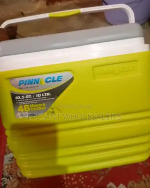 Capacity 10litres Cooler Box