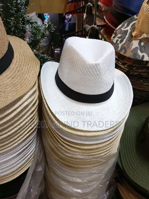 Cowboy Hat/Men's Wide Brim Hat
