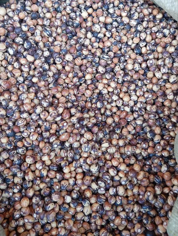 Bambara Groundnut - thumbnail 2