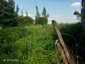 50 by 100 Plot for Sale in Ngong,Matasia.