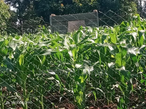 50 by 100 Plot for Sale in Ngong,Matasia. - thumbnail 4