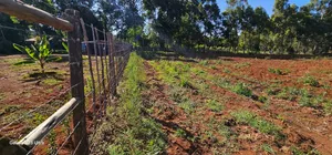 1⁄4 Plots For Sale St George's Eldoret