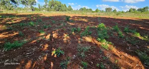 1⁄4 Plots For Sale St George's Eldoret