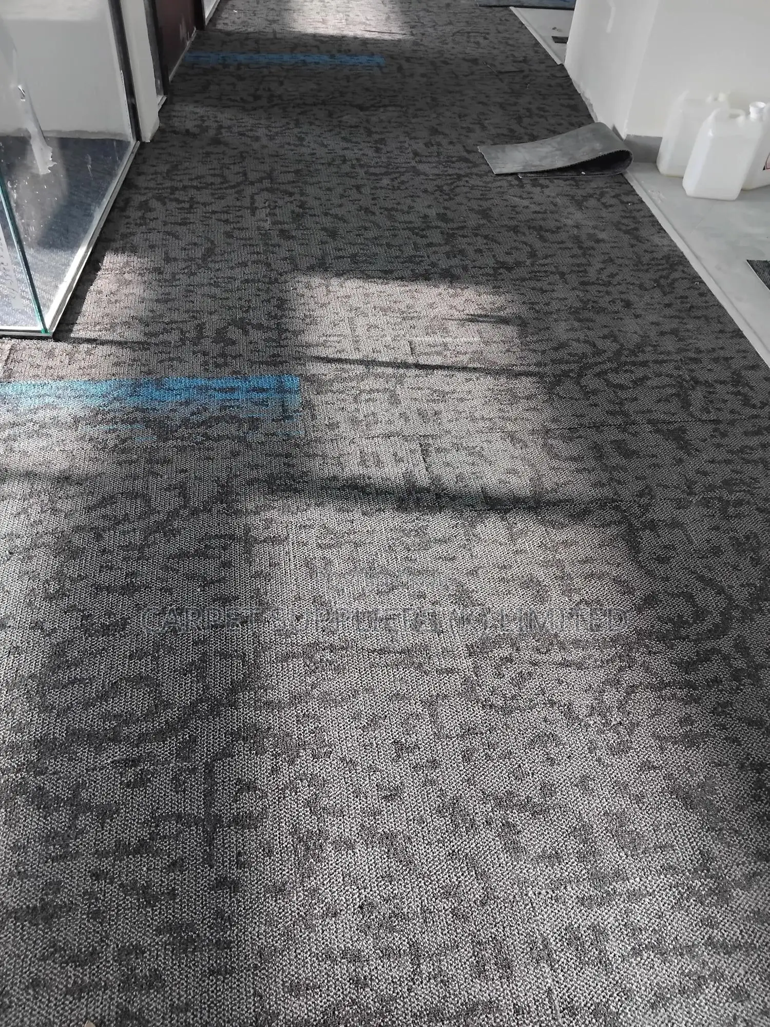 Premium Planks (Blue )