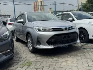 Toyota Axio 1.5 G 2WD 2018 Gray