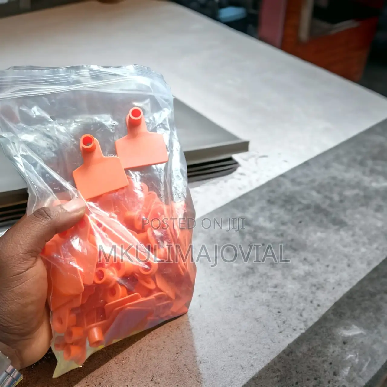 100pcs One-Piece Cattle Ear Tags Blank Plastic Livestock