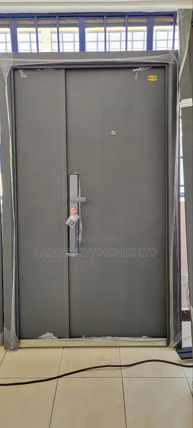 Double Steel Security Doors - main view