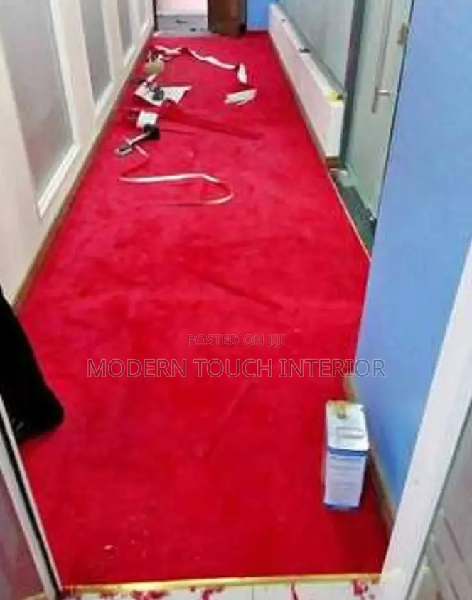 Exclusive Comfortable Delta Wall to Wall Carpets