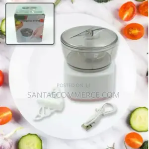 Mini Whipping and Chopping Food Processor