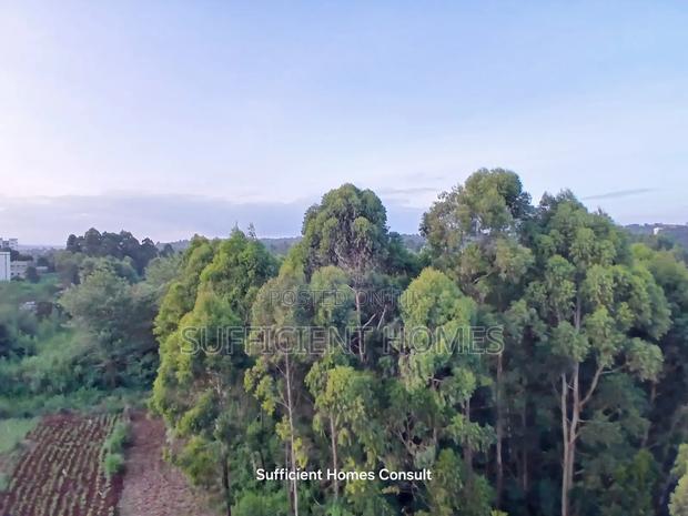 1bdrm Apartment in Ruaka for rent - thumbnail 2