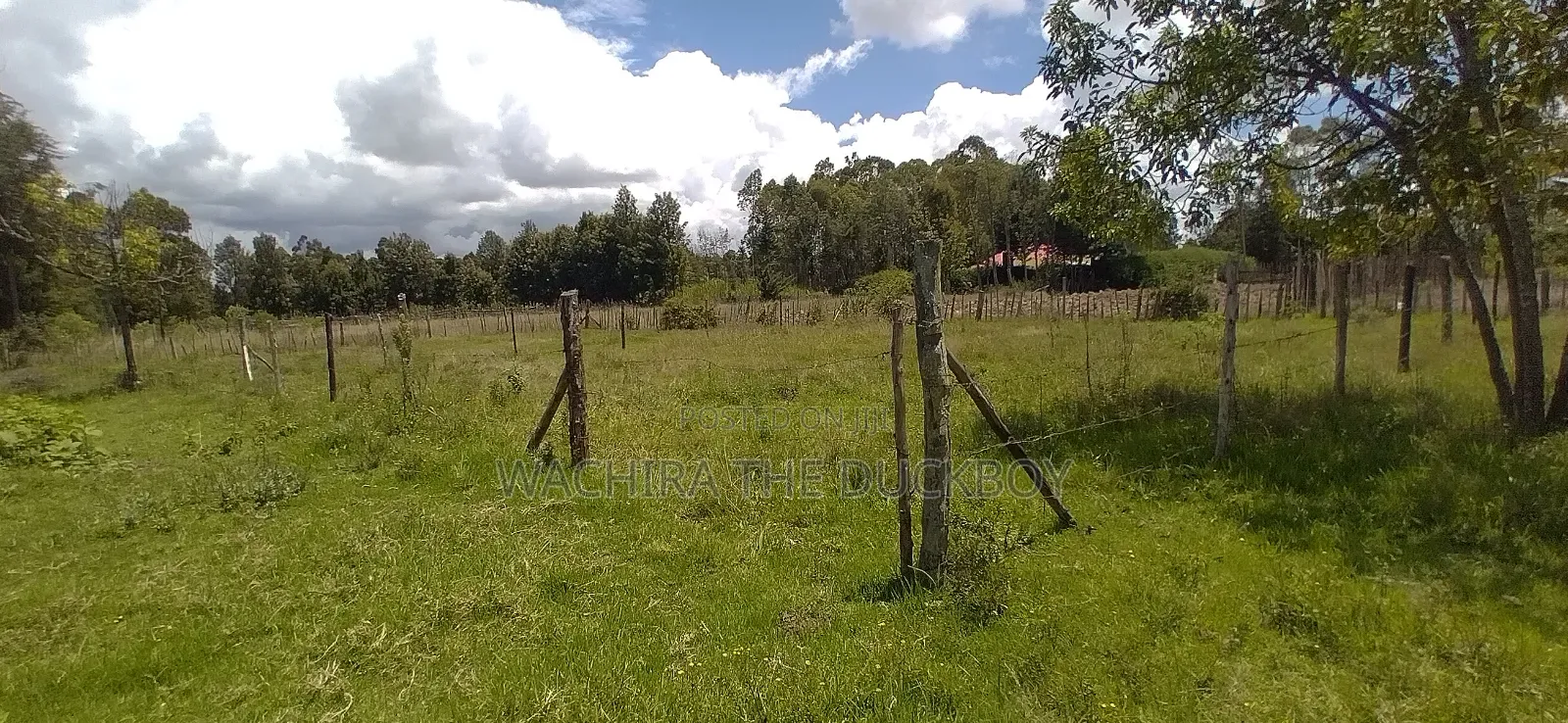 Mwalimu Jb's 10 Acre Land