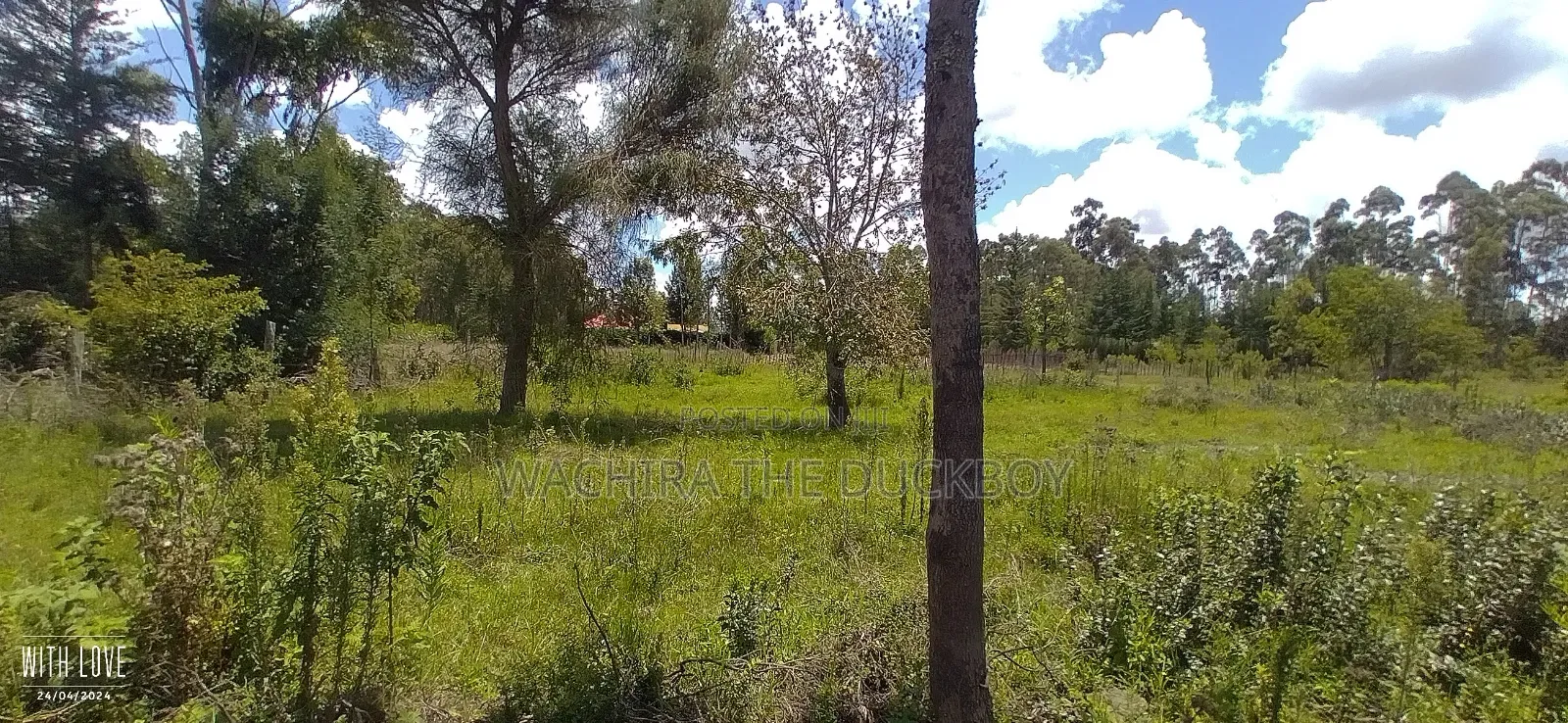 Mwalimu Jb's 10 Acre Land