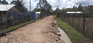 Mwalimu Jb's 10 Acre Land
