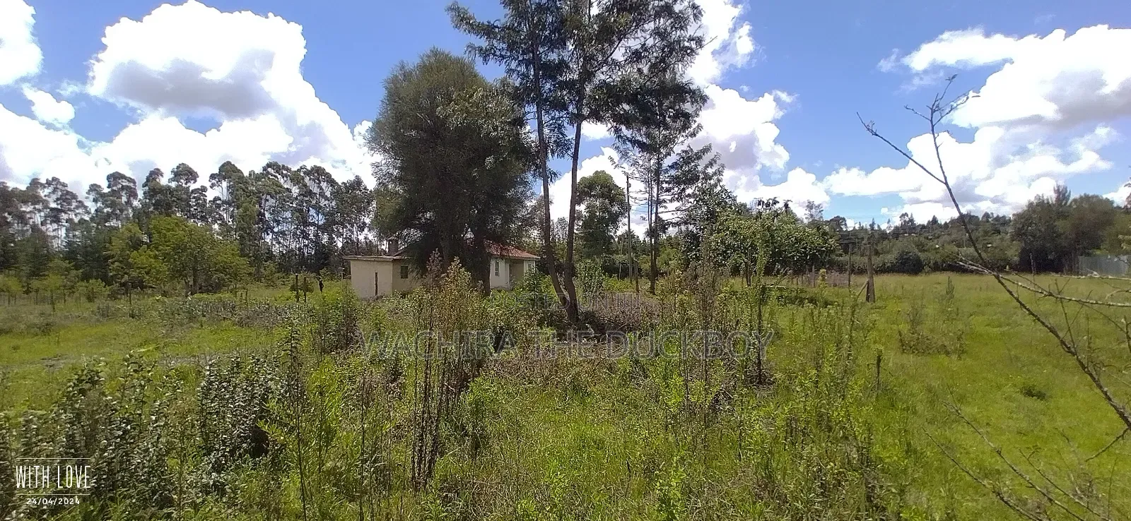 Mwalimu Jb's 10 Acre Land