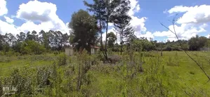 Mwalimu Jb's 10 Acre Land