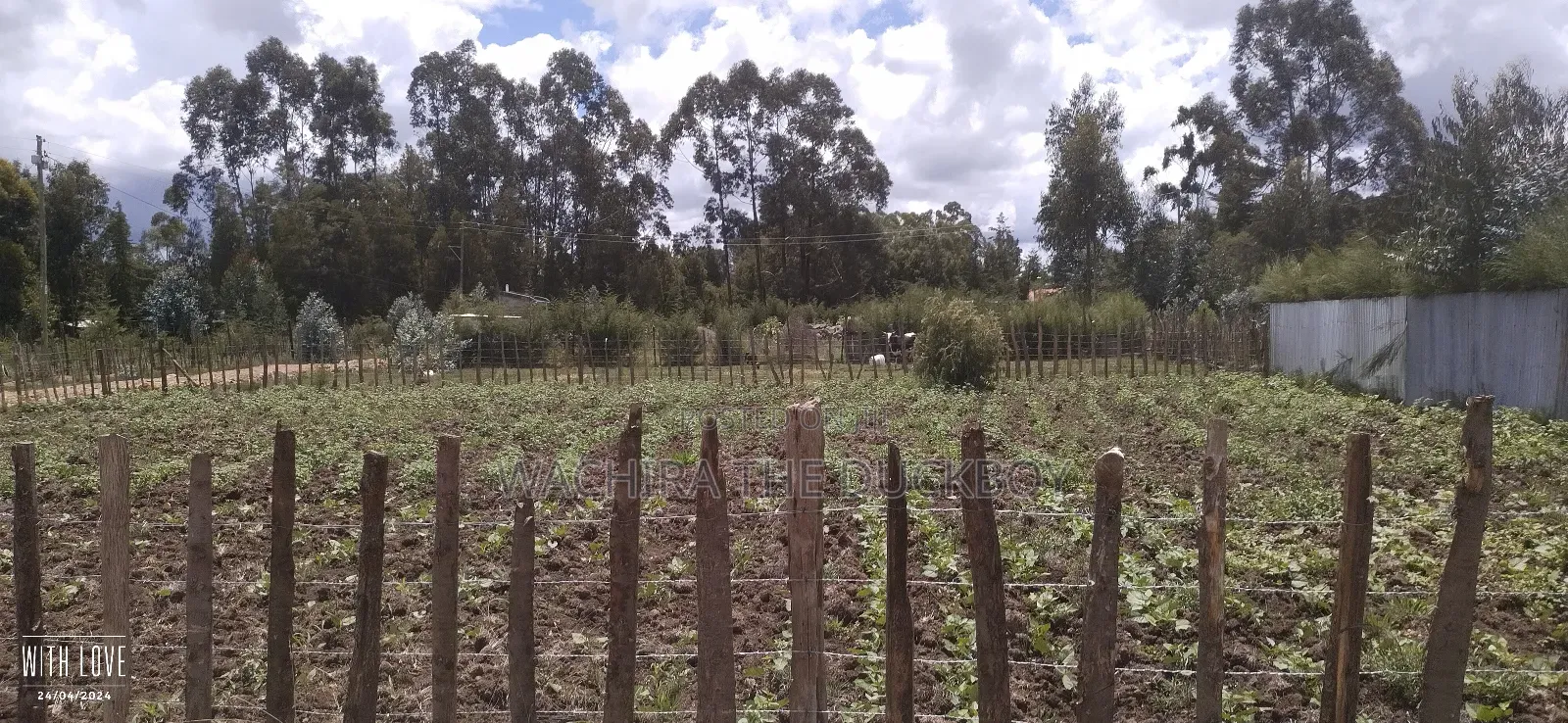 Mwalimu Jb's 10 Acre Land