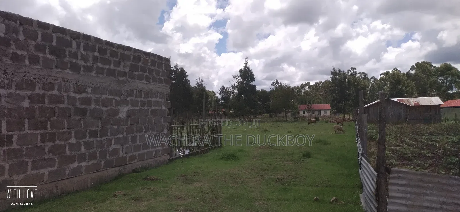 Mwalimu Jb's 10 Acre Land