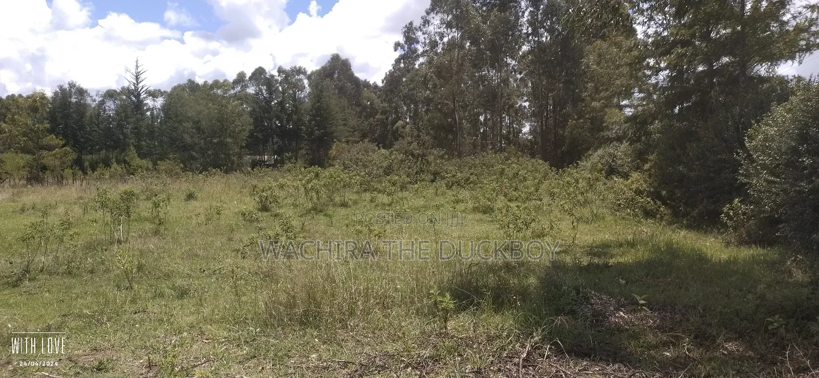 Mwalimu Jb's 10 Acre Land