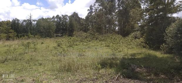 Mwalimu Jb's 10 Acre Land - thumbnail 12
