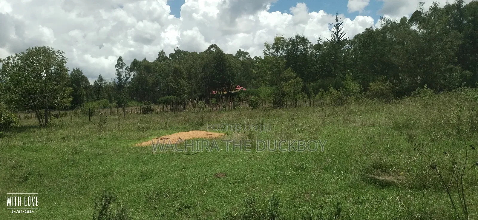 Mwalimu Jb's 10 Acre Land