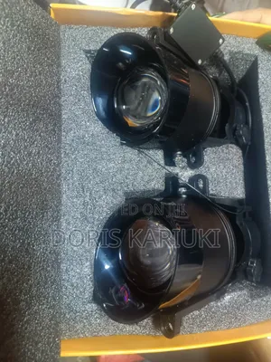 Projector Bulbs