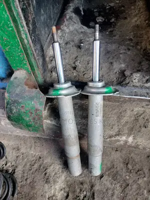 BMW E60 Shocks
